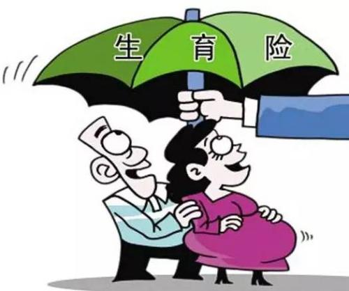 女性生育保險(xiǎn)能報(bào)多少錢？ 第1張