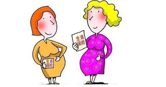 生育保險一個月交多少錢？ 第1張