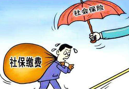 個人交社保怎么交？ 第1張