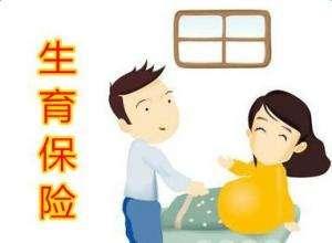 職工參加生育保險(xiǎn)可以享受哪些待遇？ 第1張